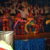 Bild 037