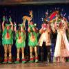 Frosch2015